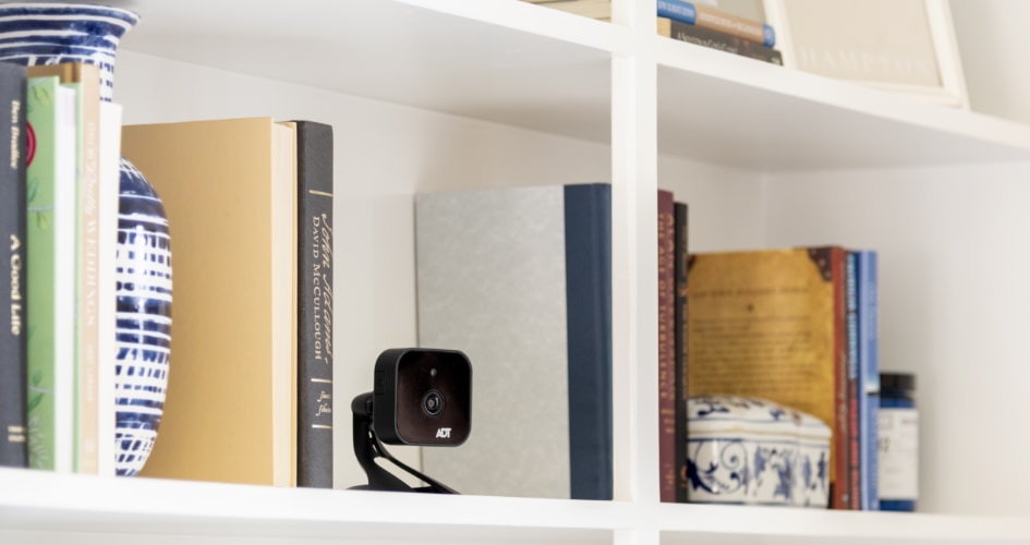 adt Indoor security cameras in Jackson